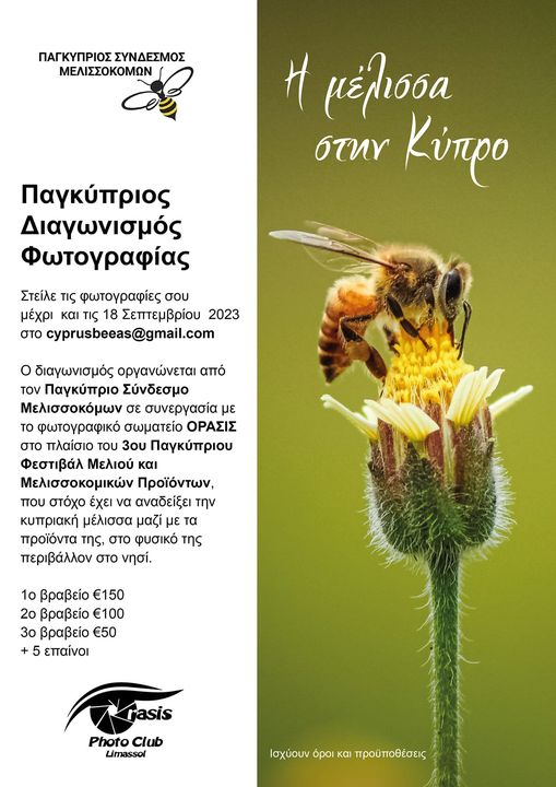 c93.startphotocontest.com